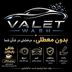 ولت واش