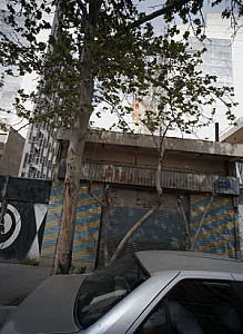 پارس کارواش