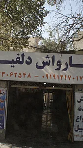 کارواش دلفین