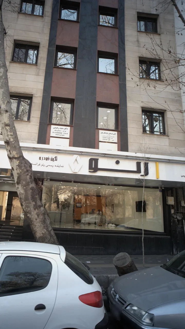 نگین خودرو
