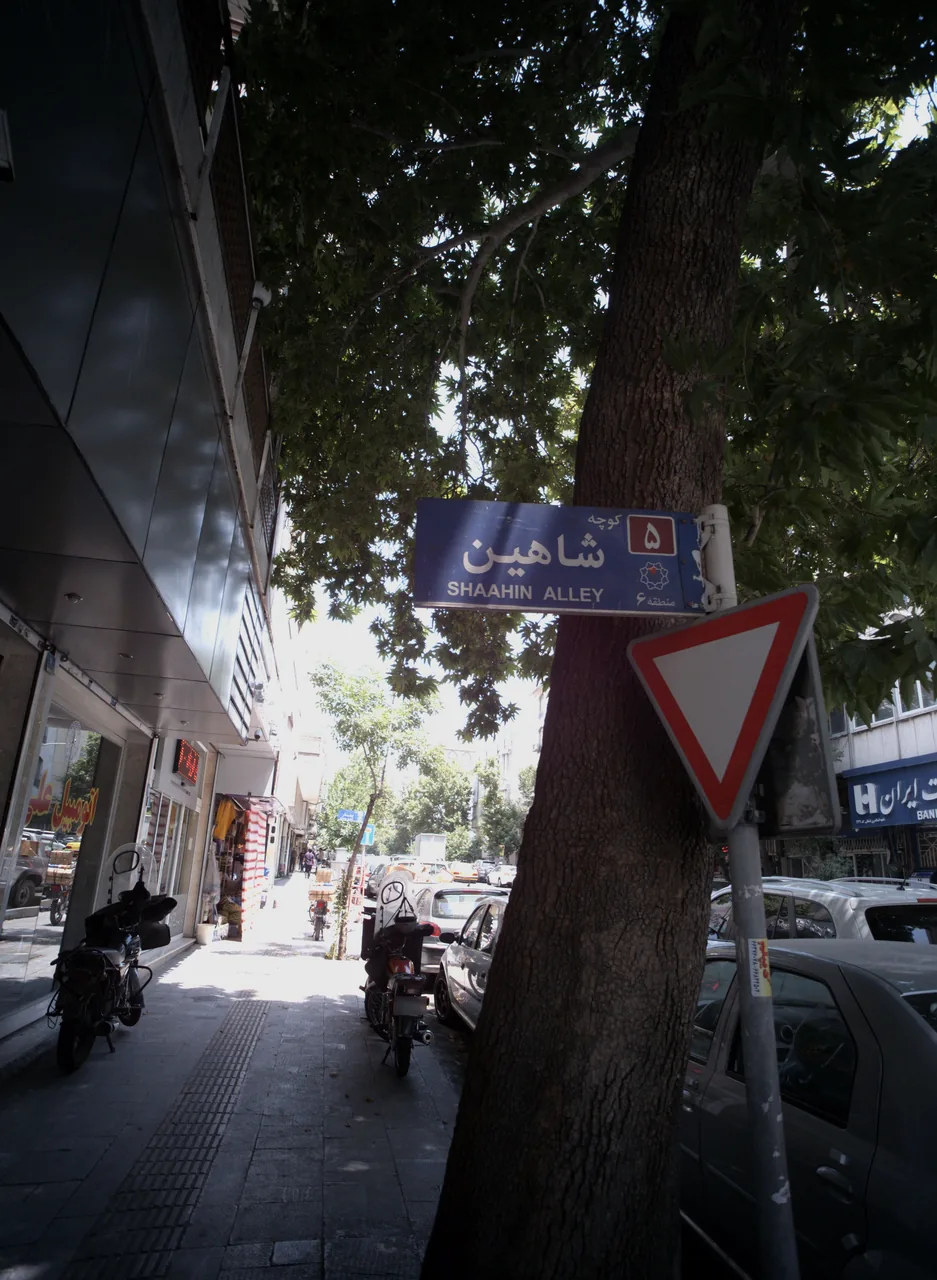 اتومبیل علی
