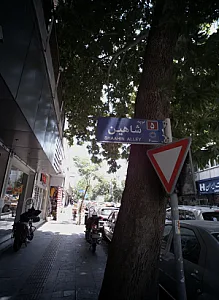 اتومبیل علی