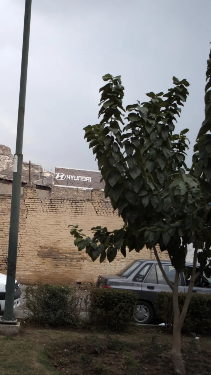 نمایندگی هیوندا - تصویر 2