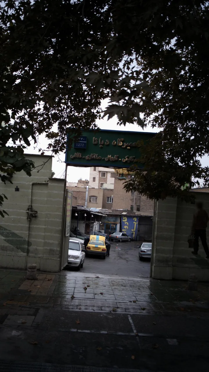 تعمیرگاه دیانا