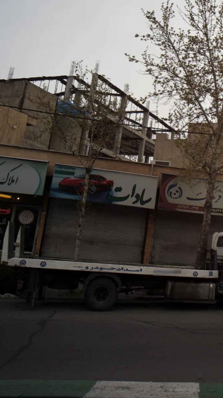 سادات