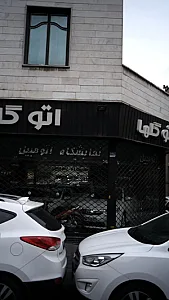 اتو گلها