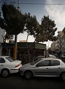 نمایشگاه اتومبیل کشوری
