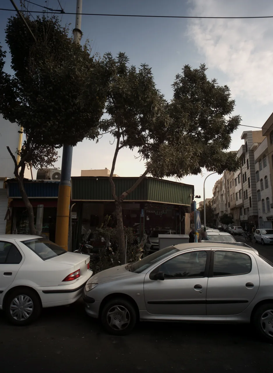 نمایشگاه اتومبیل کشوری