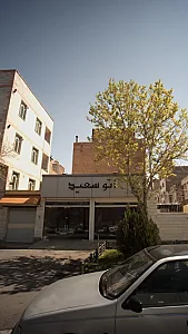 اتو سعید