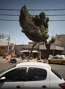 نمایشگاه اتومبیل