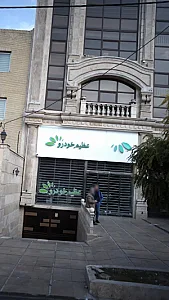 عظیم خودرو