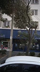 فروشگاه مجاز ایساکو