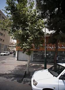 نمایشگاه یزدان
