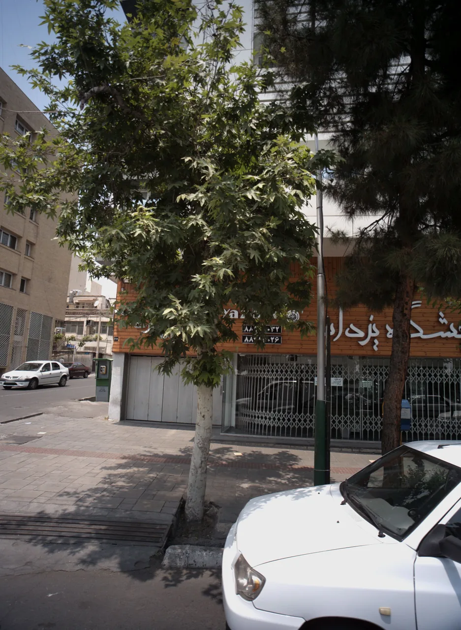 نمایشگاه یزدان
