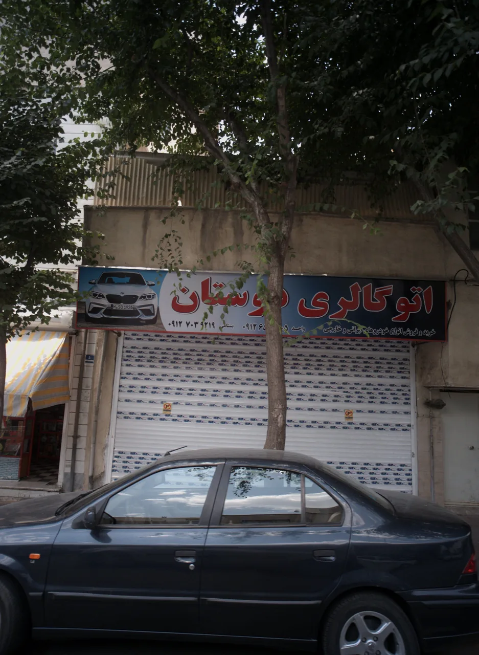 اتوگالری دوستان