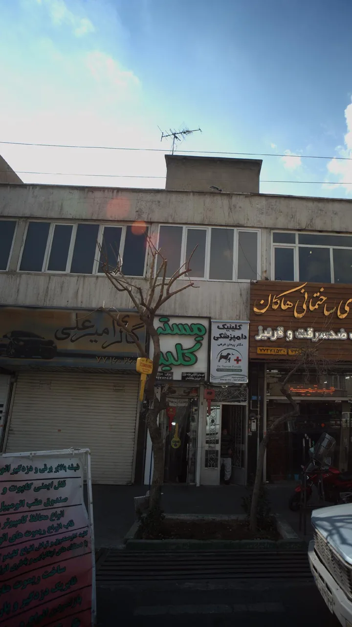گالری امیر علی