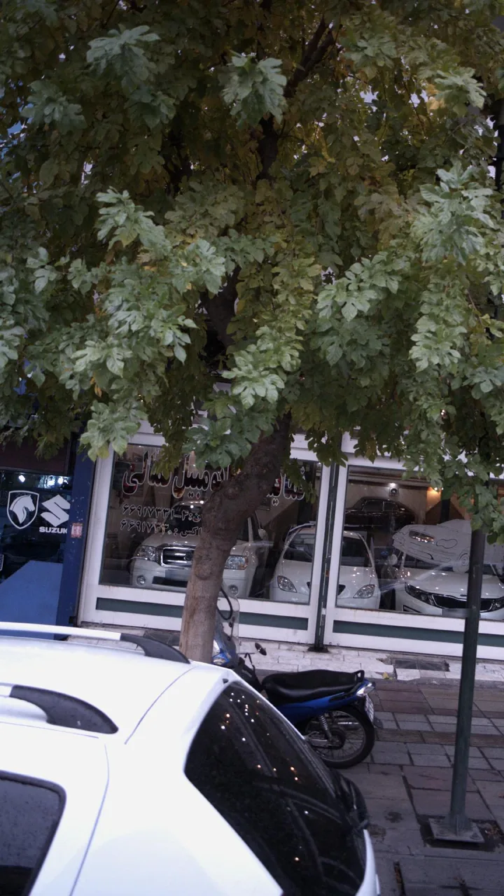 نمایشگاه اتومبیل کمالی - تصویر 3
