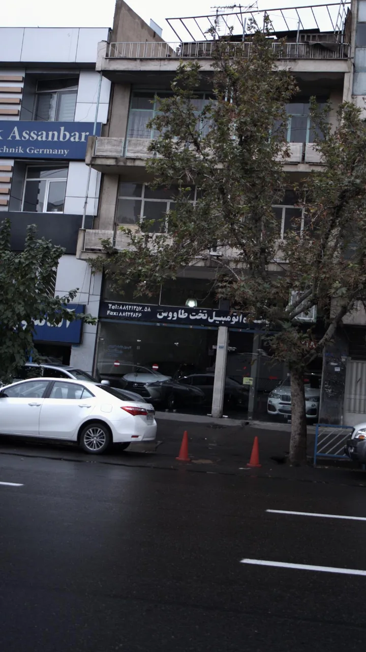 نمایشگاه اتومبیل تخت طاووس - تصویر 4