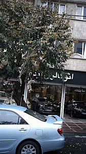 نمایشگاه اتومبیل ایده آل