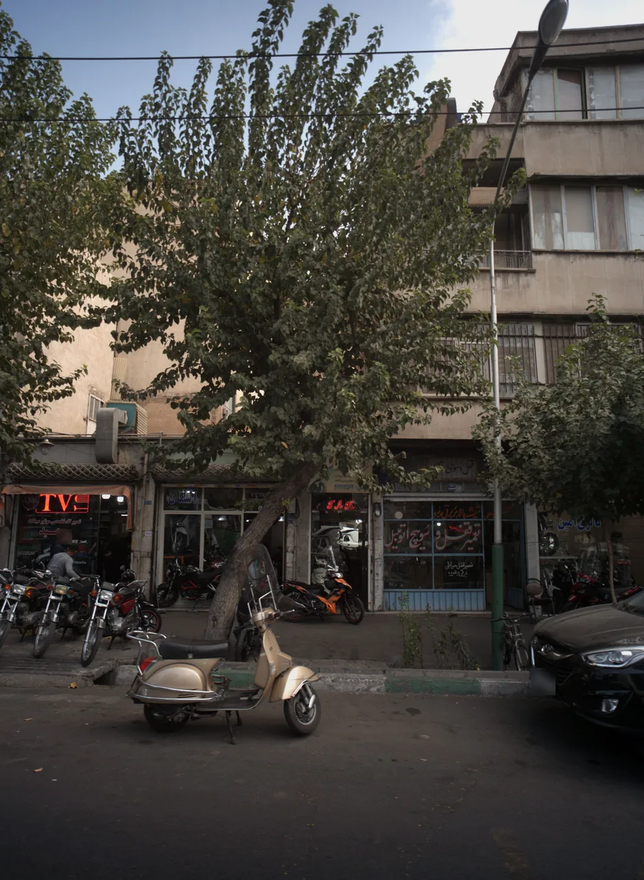 نمایشگاه تک