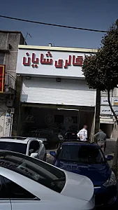 گالری شایان