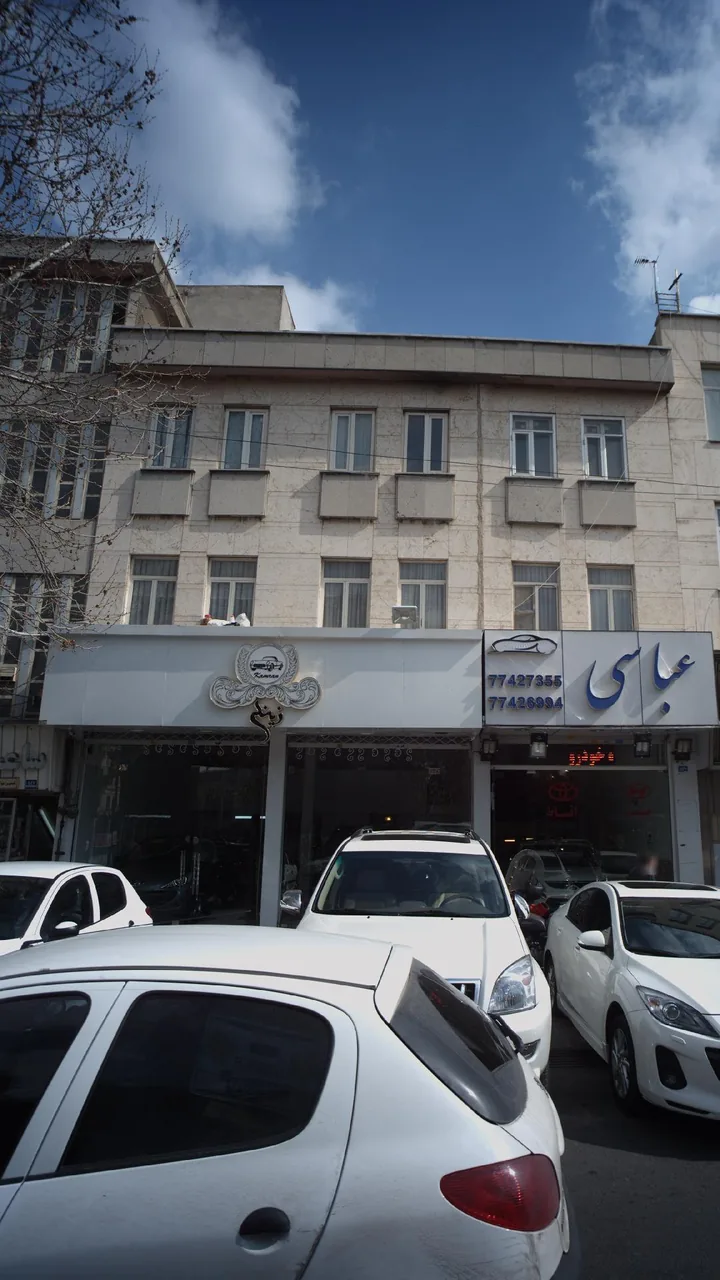 زینلی - تصویر 2