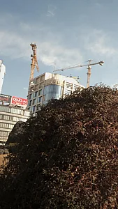 نمایشگاه خودرو نویان