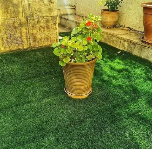 گالری فرش پالاز - فرش و موکت در تبریز