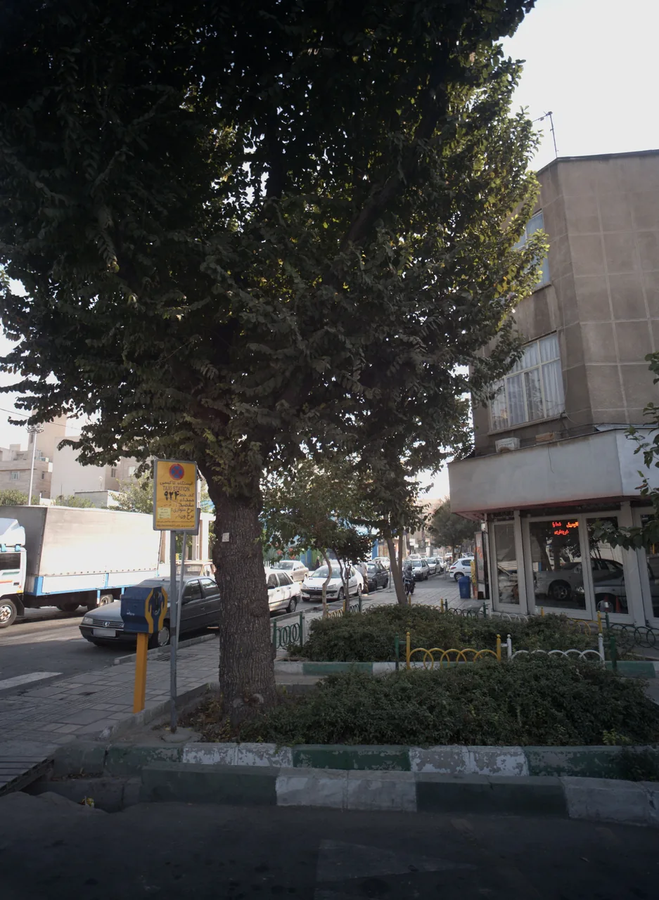 نمایشگاه اتومبیل