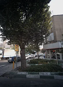 نمایشگاه اتومبیل