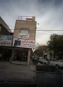 سیکلت کرکس
