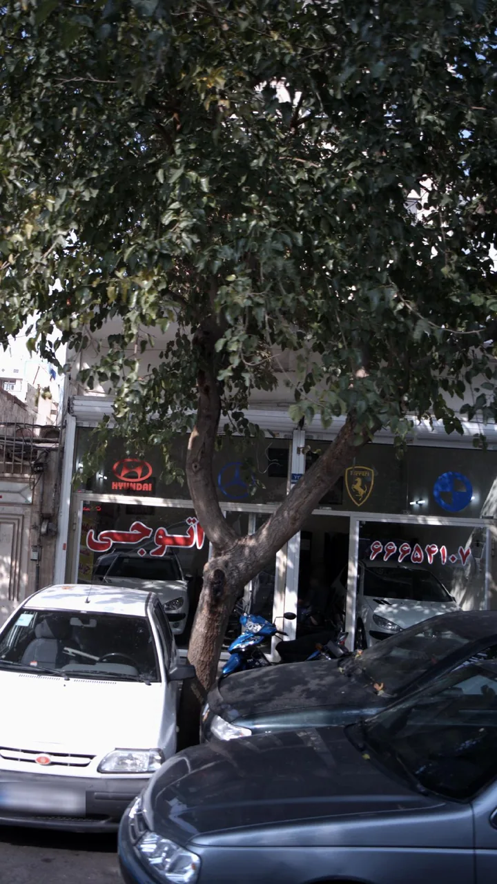 اتوجی