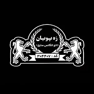 ره پویان خودرو