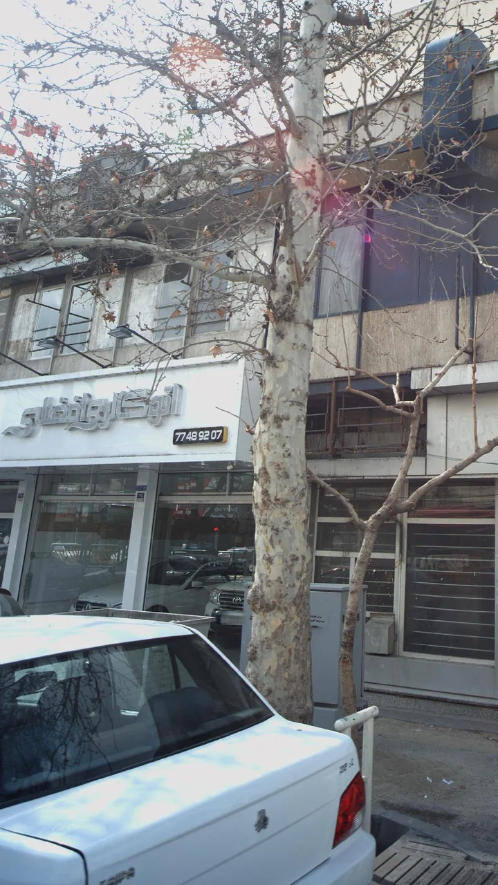 اتو گالری افضلی
