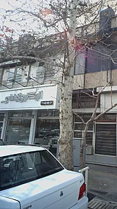 اتو گالری افضلی