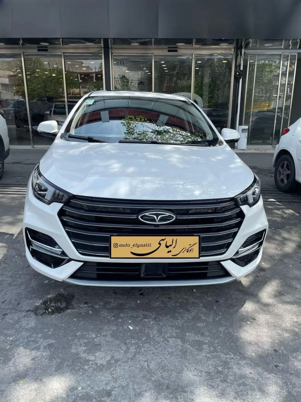 اتو الیاسی - تصویر 2