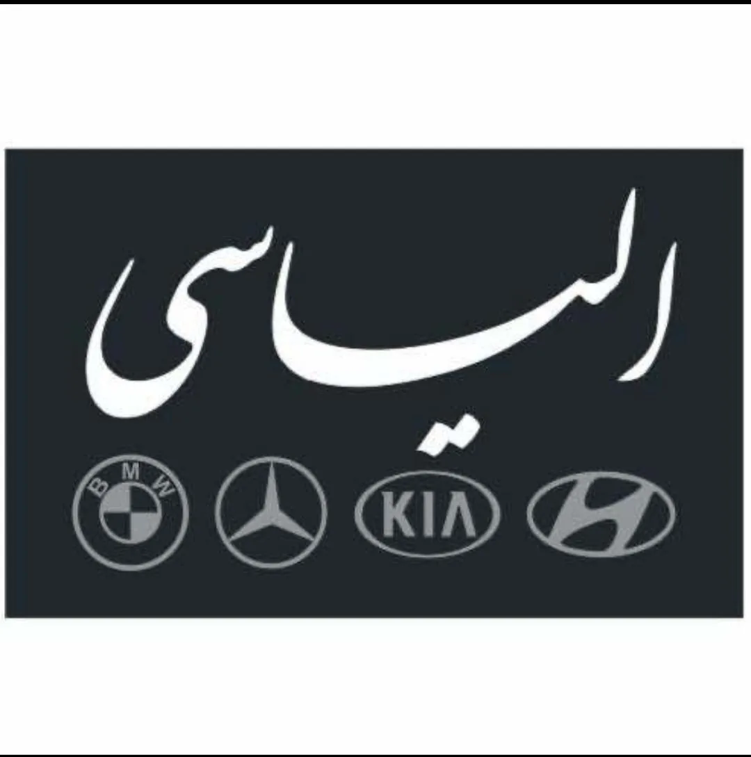 اتو الیاسی - تصویر 4