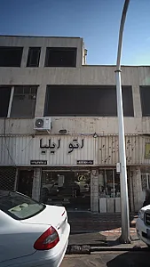 اتو ایلیا