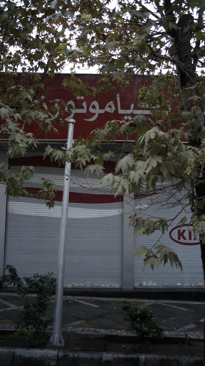 کیاموتورز - تصویر 2