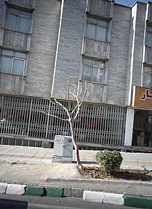 نمایشگاه اتومبیل
