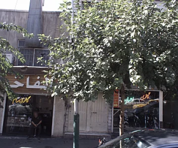 گالری سام
