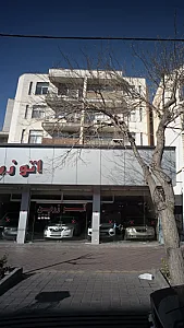 اتو زرین