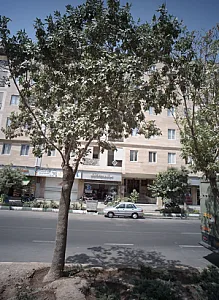 موتورسیکلت آرش