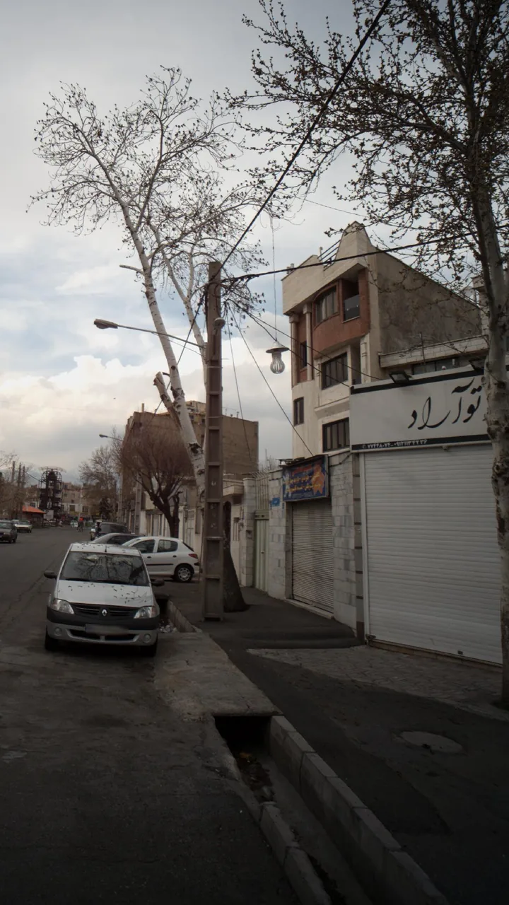 اتو آراد