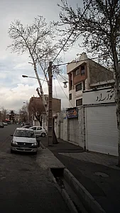 اتو آراد