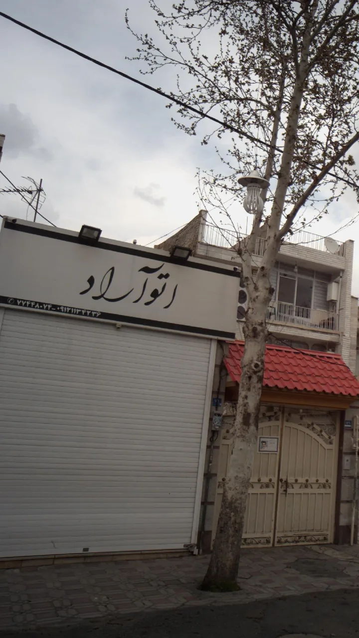 اتو آراد - تصویر 3
