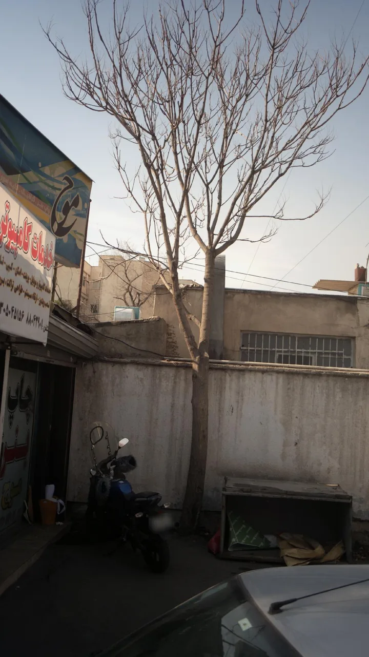 خدمات کامپیوتری و کافی نت کلیک - تصویر 2