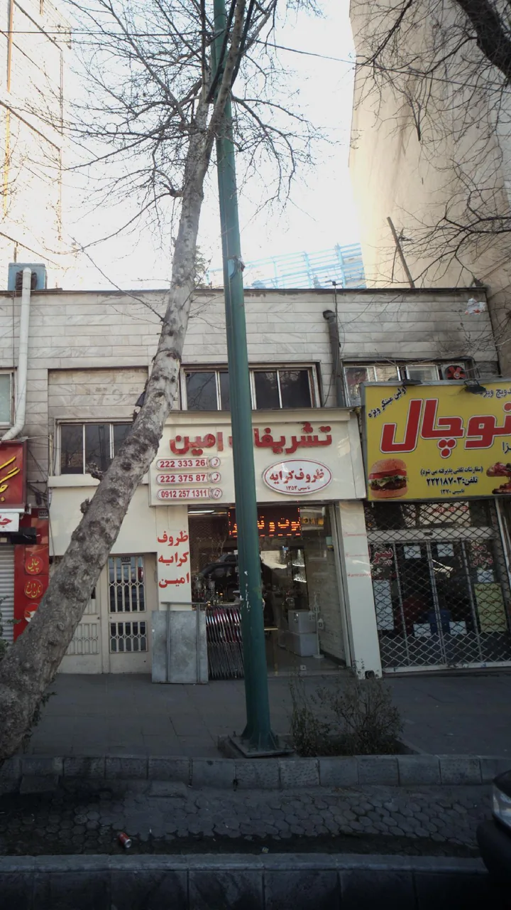 ظروف کرایه تشریفات امین - تصویر 2