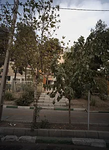خدمات دندان و دندانسازی شهاب