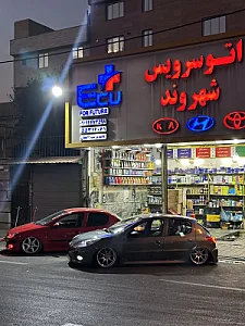 خدمات لاستیک و روغن شهروند